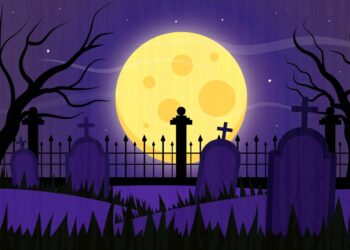 Toussaint, tout savoir sur l’accès aux cimetières d’Avignon