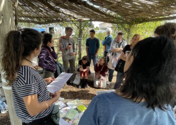 Fête de l’alimentation chez Semailles, plus de 325 personnes s’y sont rencontrées