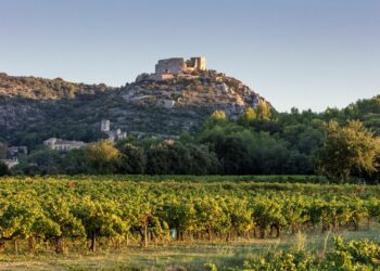Laudun devient le nouveau cru des Côtes du Rhône