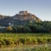 Laudun devient le nouveau cru des Côtes du Rhône