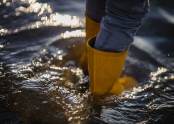 Le Grand Avignon et Rochefort-du-Gard prennent part à la journée nationale de la résilience