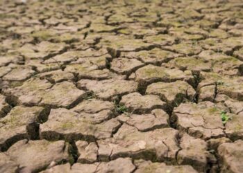 Etat de catastrophe naturelle : oui pour 3 communes vauclusiennes, non pour 3 autres