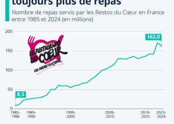Les Restos du Cœur distribuent toujours plus de repas