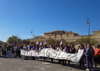 Le mouvement Femmes Solidaires Avignon organise une manifestation pour soutenir Gisèle Pelicot