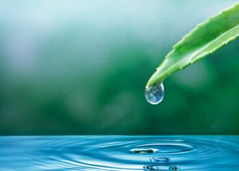 Fonds d’investissement hydraulique agricole : 48 projets labellisés, pas un seul en Paca