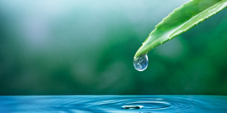 Fonds d’investissement hydraulique agricole : 48 projets labellisés, pas un seul en Paca