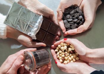 La Chocolaterie Castelain organise une Journée Privilège pour ses clients