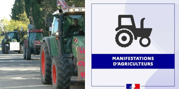 Les agriculteurs vauclusiens vont manifester ce lundi matin à Avignon