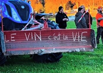 Avignon : les raisins de la colère mais aussi les cerises, les lavandes, les fraises et les melons