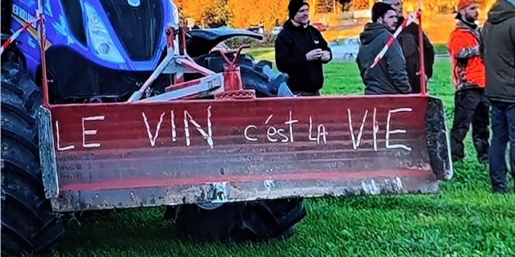 Avignon : les raisins de la colère mais aussi les cerises, les lavandes, les fraises et les melons