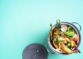 Réduction des déchets : les Vauclusiens peuvent mieux faire