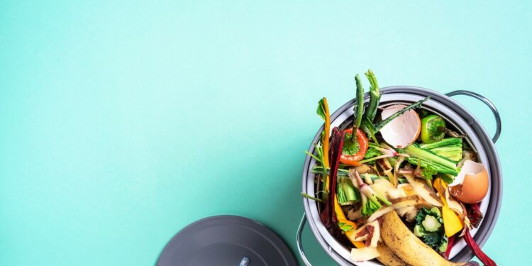 Réduction des déchets : les Vauclusiens peuvent mieux faire