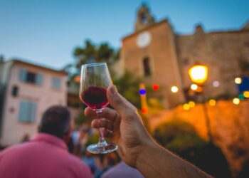 Vaison-la-Romaine : les Jeunes Agriculteurs vous donnent rendez-vous pour l’Automnale de Bacchus