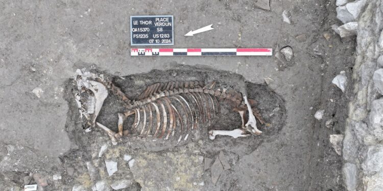 Des vestiges carolingiens découverts au cœur du Thor sur un chantier de Grand Delta Habitat