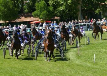 Hippodrome Roberty : c’est la mort du petit cheval si rien n’est fait rapidement pour sécuriser ce site classé du Pontet