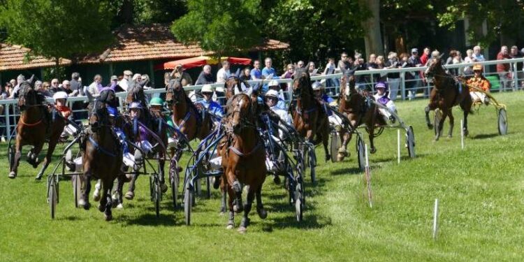 Hippodrome Roberty : c’est la mort du petit cheval si rien n’est fait rapidement pour sécuriser ce site classé du Pontet