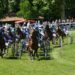 Hippodrome Roberty : c’est la mort du petit cheval si rien n’est fait rapidement pour sécuriser ce site classé du Pontet