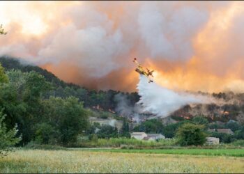 Barbentane, Reboisement d’envergure de la Montagnette avec le chef cuisinier Glenn Viel ce samedi 12 novembre