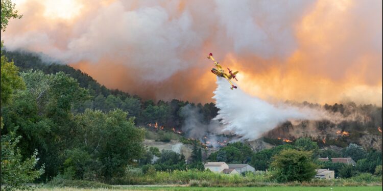 Barbentane, Reboisement d’envergure de la Montagnette avec le chef cuisinier Glenn Viel ce samedi 12 novembre