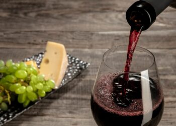 Rencontres de l’Université du Vin : des solutions pour faire face au changement de climat et à la déconsommation