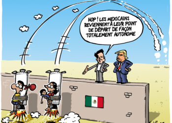 Elon Musk ministre de Trump vu par Wingz pour l’Echo du Mardi