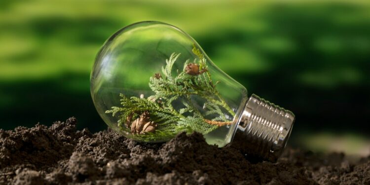 Innov’Alliance dédie une journée aux startups de la Naturalité à Lourmarin