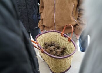 Le marché aux truffes d’hiver est de retour à Carpentras
