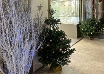 Les commerçants de Pertuis plongent dans la magie de Noël