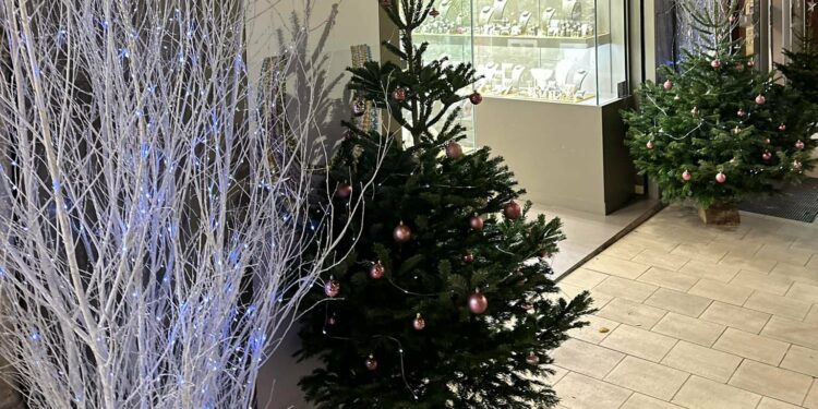 Les commerçants de Pertuis plongent dans la magie de Noël