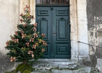 Ménerbes : la Maison Dora Maar fête Noël