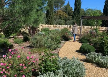 Victoire du paysage 2024 : Cabrières d’Avignon et Arles à l’honneur
