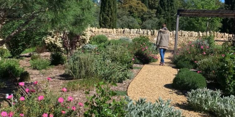 Victoire du paysage 2024 : Cabrières d’Avignon et Arles à l’honneur