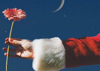 Avignon : le Tipi fait son marché de Noël