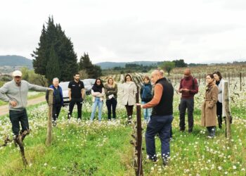 Les Pépites du Sud, l’agence qui vous fait découvrir la Vallée du Rhône, le Languedoc et le Roussillon autrement