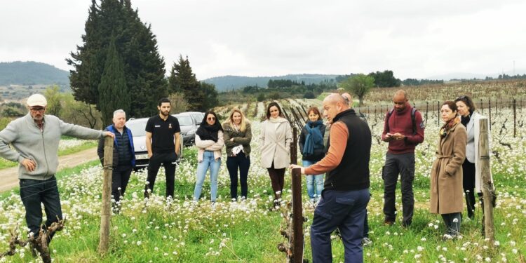 Les Pépites du Sud, l’agence qui vous fait découvrir la Vallée du Rhône, le Languedoc et le Roussillon autrement