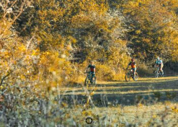 (Vidéo) Quatre baliseurs gèrent la maintenance des 15 circuits VTT du Pays d’Apt Luberon