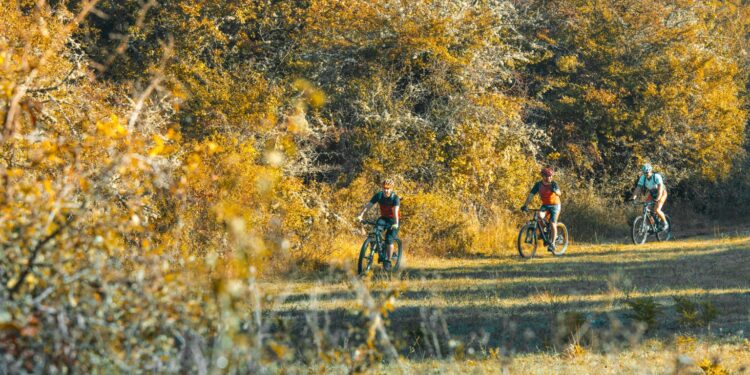 (Vidéo) Quatre baliseurs gèrent la maintenance des 15 circuits VTT du Pays d’Apt Luberon
