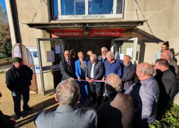 Lucien Stanzione, sénateur de Vaucluse, Sauver les filières en souffrance