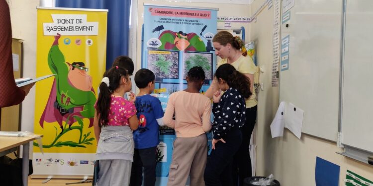 (Vidéo) Vaucluse : sensibilisation contre les allergies à l’ambroisie