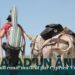 Fondation Blachère, Conte musical Balad’un âne