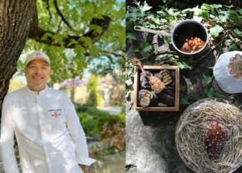 La recette de pigeon cuit sur coffre du chef Christophe Chiavola