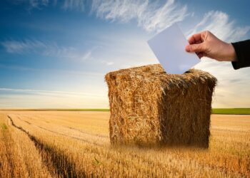 Chambre d’Agriculture de Vaucluse, les élections jusqu’au 31 janvier