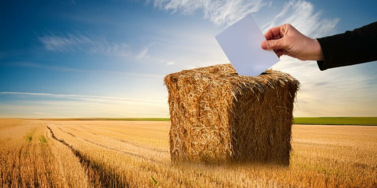 Chambre d’Agriculture de Vaucluse, les élections jusqu’au 31 janvier