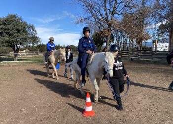 Cheval Passion : l’association Isofaculté doublement primée pour son projet contre le décrochage scolaire