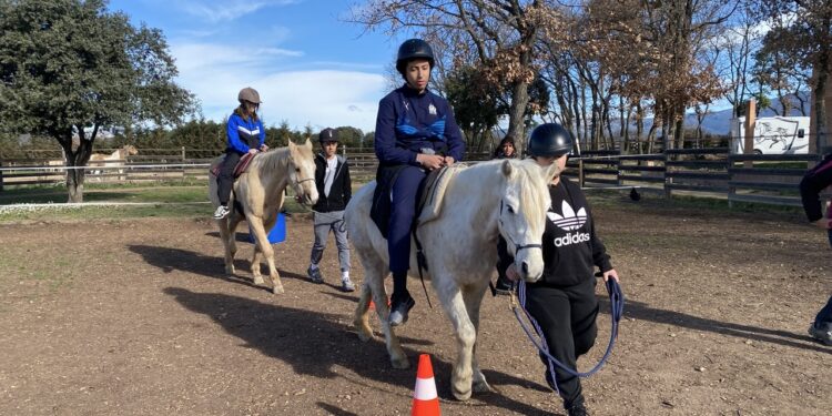 Cheval Passion : l’association Isofaculté doublement primée pour son projet contre le décrochage scolaire