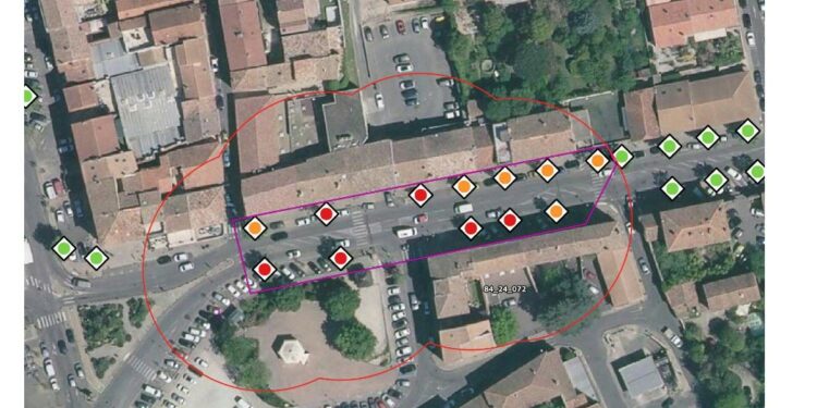 Carpentras, bientôt 12 platanes abattus pour cause de Chancre coloré et remplacés