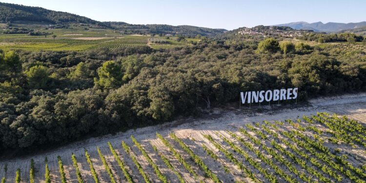 « Deux Crus, Un Millésime », le slogan commun des vignerons de Vinsobres et Rasteau