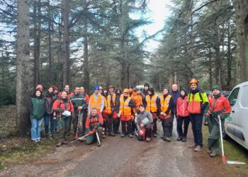 12 élèves du Centre forestier de La Bastide des Jourdans à la découverte du savoir-faire des agents de l’ONF