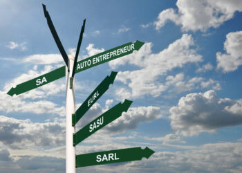 TVA pour les auto-entrepreneurs : le gouvernement rétropédale