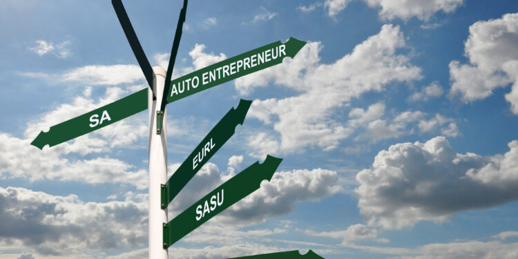 TVA pour les auto-entrepreneurs : le gouvernement rétropédale